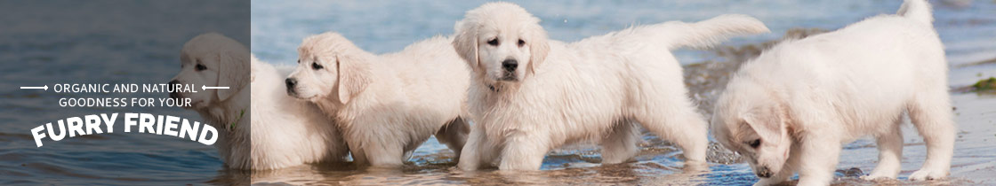 Organic and natural goodness for your Furry Friend