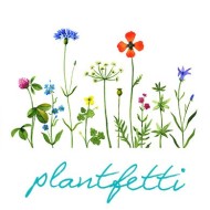 P L A N T F E T T I